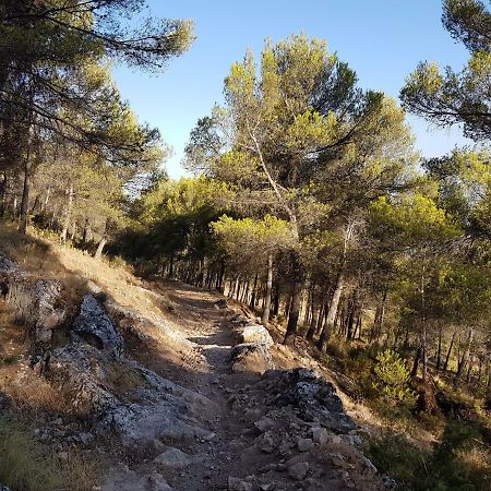 Apartamentos Rurales La Dehesa Del Acebuche 하엔 외부 사진